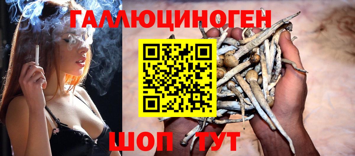 Галлюциногенные грибы MAGIC MUSHROOMS  Вход с VPN  где купить наркоту  Артём 